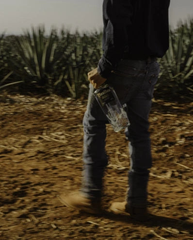 A person walking in an agave field with a bottle of tequila.