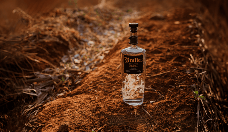 Bottle of Braltos tequila in an agave field with red soil.