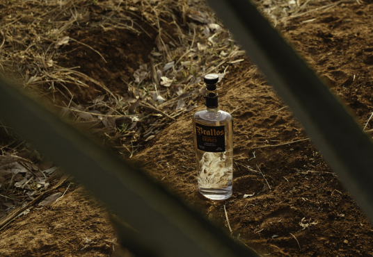 Braltos bottle in an agave field with red soil