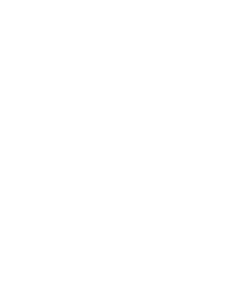 Braltos bull drawing