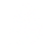 Braltos bull silhouette