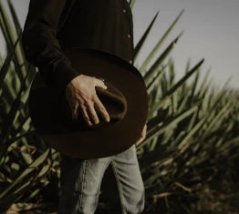 Person holding a hat in an agave field.