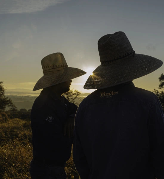 Two people looking at the agave with the sun facing them.