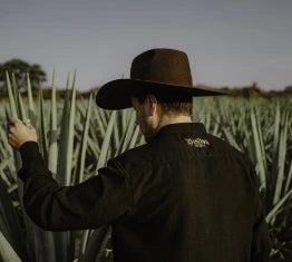 person with their back turned examining an agave plant